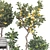 Fruit Tree Collection Set 21 3D model small image 5