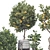 Fruit Tree Collection Set 21 3D model small image 6