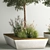 Concrete Garden Plant Collection and Bench 3D model small image 3