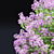 Syringa Meyeri Bushes Set | 3D Models 3D model small image 6