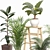 Green Oasis Indoor Plants Set 3D model small image 2