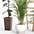 Green Oasis Indoor Plants Set 3D model small image 3