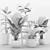 Green Oasis Indoor Plants Set 3D model small image 5