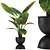 Exquisite Indoor Plant Set 36 3D model small image 1