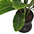 Exquisite Indoor Plant Set 36 3D model small image 3