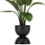 Exquisite Indoor Plant Set 36 3D model small image 4