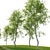 Fagus Tree 3D Model 3D model small image 4