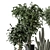  Indoor Plants Ferm Living Bau Pot 3D model small image 6