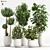 2015 Indoor Plant Set 010 3D model small image 1