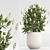 2015 Indoor Plant Set 010 3D model small image 2