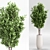 2015 Indoor Plant Set 010 3D model small image 3