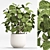 2015 Indoor Plant Set 010 3D model small image 4