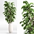 2015 Indoor Plant Set 010 3D model small image 5