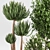 2015 Indoor Plant Set 010 3D model small image 6