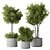 2015 Indoor Plant Set Max 3D model small image 1