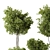 2015 Indoor Plant Set Max 3D model small image 3