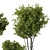 2015 Indoor Plant Set Max 3D model small image 4