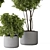 2015 Indoor Plant Set Max 3D model small image 6