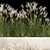 Decorative Grass Collection for Urban Landscaping 3D model small image 2