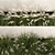 Decorative Grass Collection for Urban Landscaping 3D model small image 3