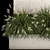 Decorative Grass Collection for Urban Landscaping 3D model small image 4