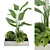 Indoor Botanical Variety Set 3D model small image 1