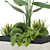 Indoor Botanical Variety Set 3D model small image 2