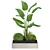 Indoor Botanical Variety Set 3D model small image 3