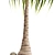 Exotic Ponytail Palm Tree Model 3D model small image 5