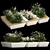 Urban Greenery Collection: Concrete Bench with Ornamental Grasses 3D model small image 1