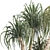 Sculptural Ponytail Palm Tree 3D model small image 5