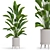 Plants 3D Model Collection 70 3D model small image 1