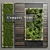 Wooden Frame Moss Garden: 3D Model 3D model small image 3