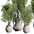 Old Earthenware Vase Olive Tree 3D model small image 3