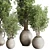 Old Earthenware Vase Olive Tree 3D model small image 5