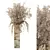 Assorted Dried Botanical Arrangement 3D model small image 3