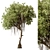 Japanese Garden Trees Collection. 3D model small image 2