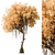 Japanese Garden Trees Collection. 3D model small image 3