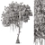 Japanese Garden Trees Collection. 3D model small image 5