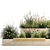 Urban Greenery Collection: Plants & Benches 3D model small image 4