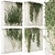 Quality Hedera Outdoor Plant Model 3D model small image 1