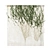 Quality Hedera Outdoor Plant Model 3D model small image 5