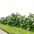 White Rose Bush 1.5m Height 3D model small image 5