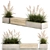 Urban Concrete Bench with Reeds & Pampas Grass 3D model small image 1