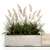 Urban Concrete Bench with Reeds & Pampas Grass 3D model small image 2