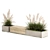 Urban Concrete Bench with Reeds & Pampas Grass 3D model small image 5