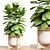 Premium Plant Collection 84 3D model small image 1