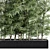 Bamboo Plants Box Set 320 3D model small image 2