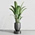 Urban Jungle Concrete Vase Plant 3D model small image 3