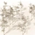 Winter Birch Tree Forest Model 3D model small image 3